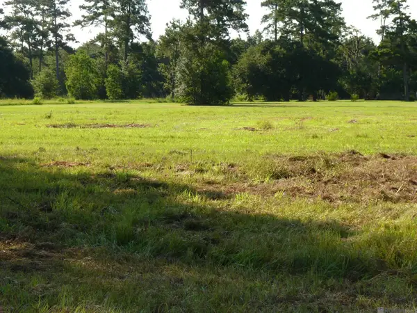Lot 7 Lynda, Killian, LA 70462