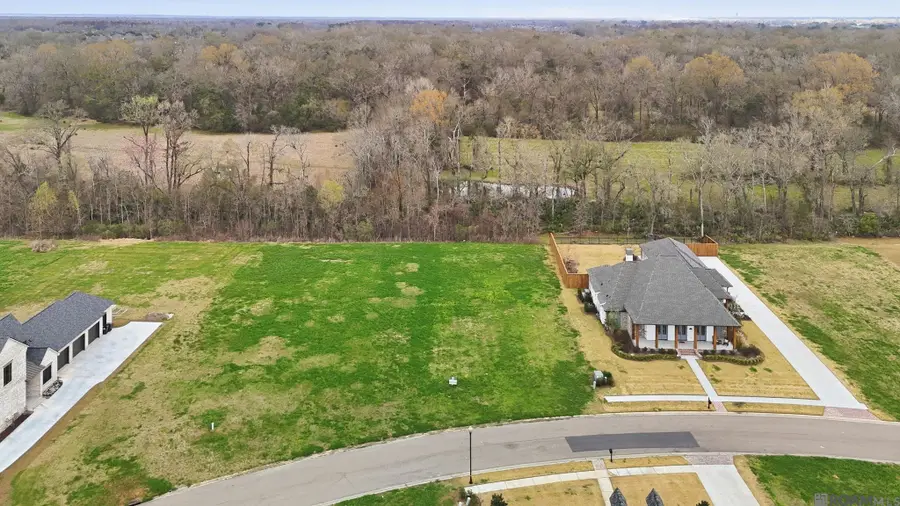36162 Westin Ridge Dr, Geismar, LA 70734 - #3