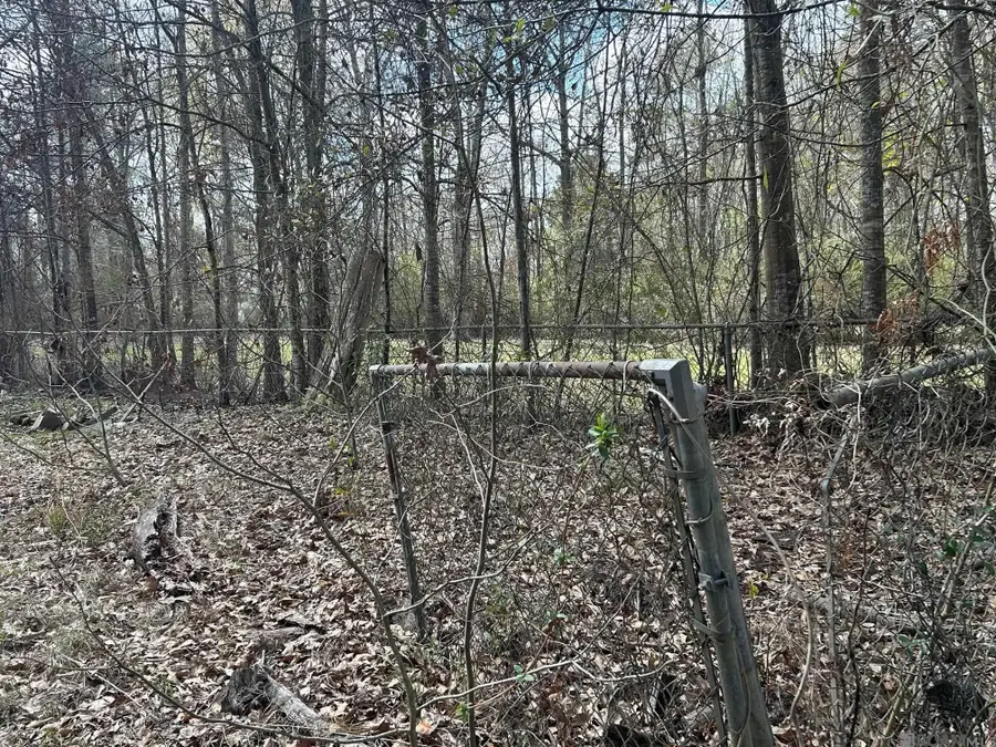 4157 Kleinpeter Ln, Ethel, LA 70730 - #3