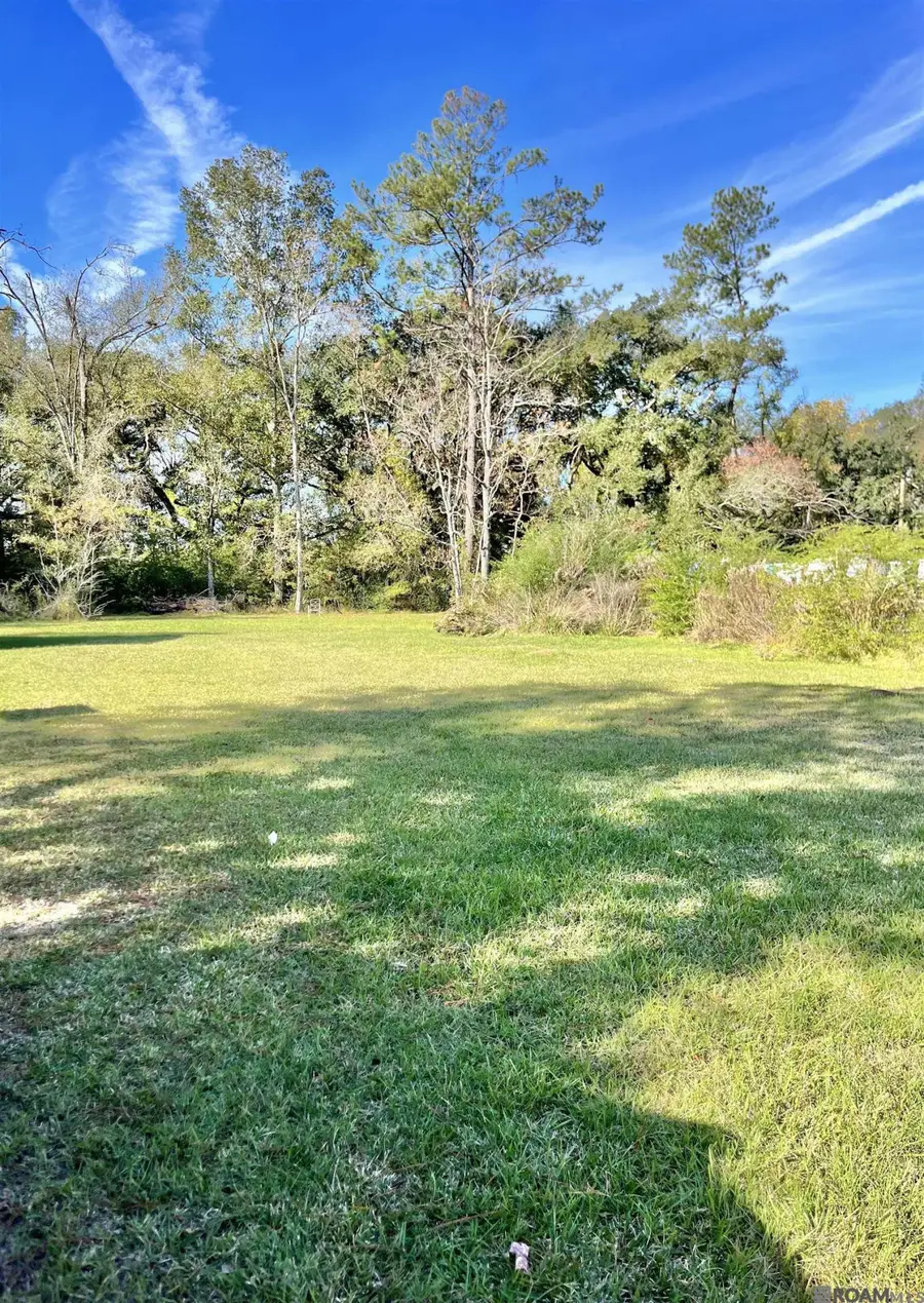 25163 West St, Springfield, LA 70462 - #3