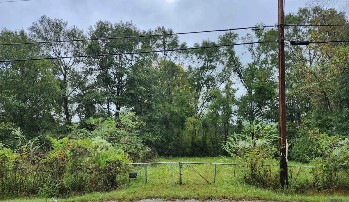 413 Edgewood Dr, Denham Springs, LA 70726 - #1