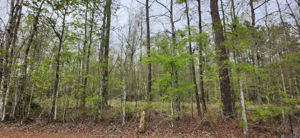 Lot A-1 Lod Stafford Rd, Walker, LA 70785