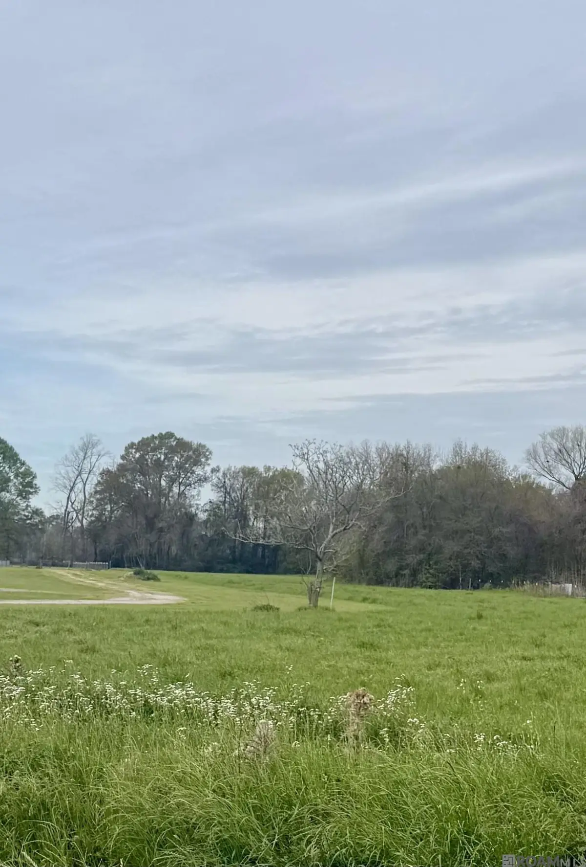 TBD Oakland Rd, Lakeland, LA 70752 - #1