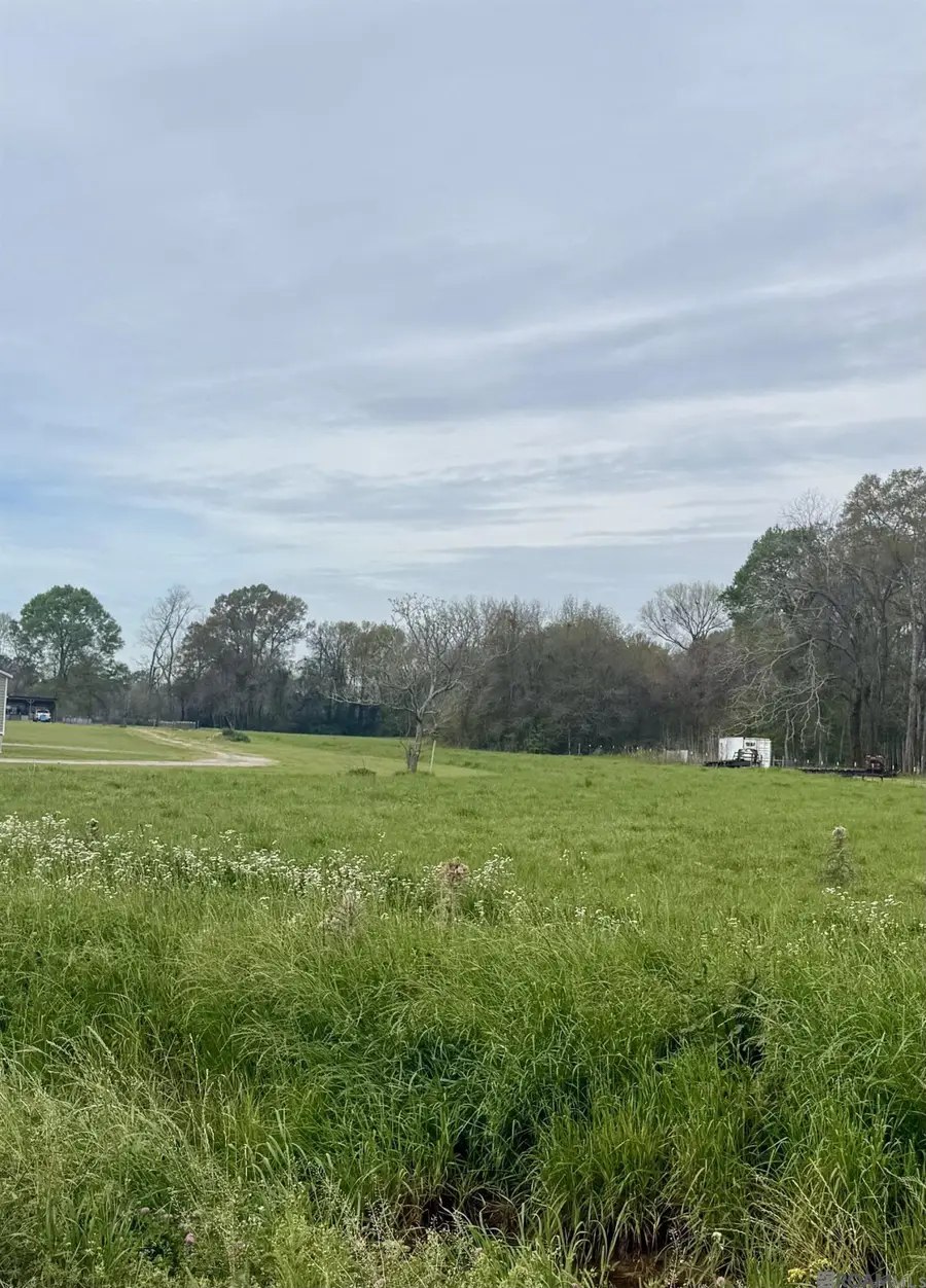 TBD Oakland Rd, Lakeland, LA 70752 - #2