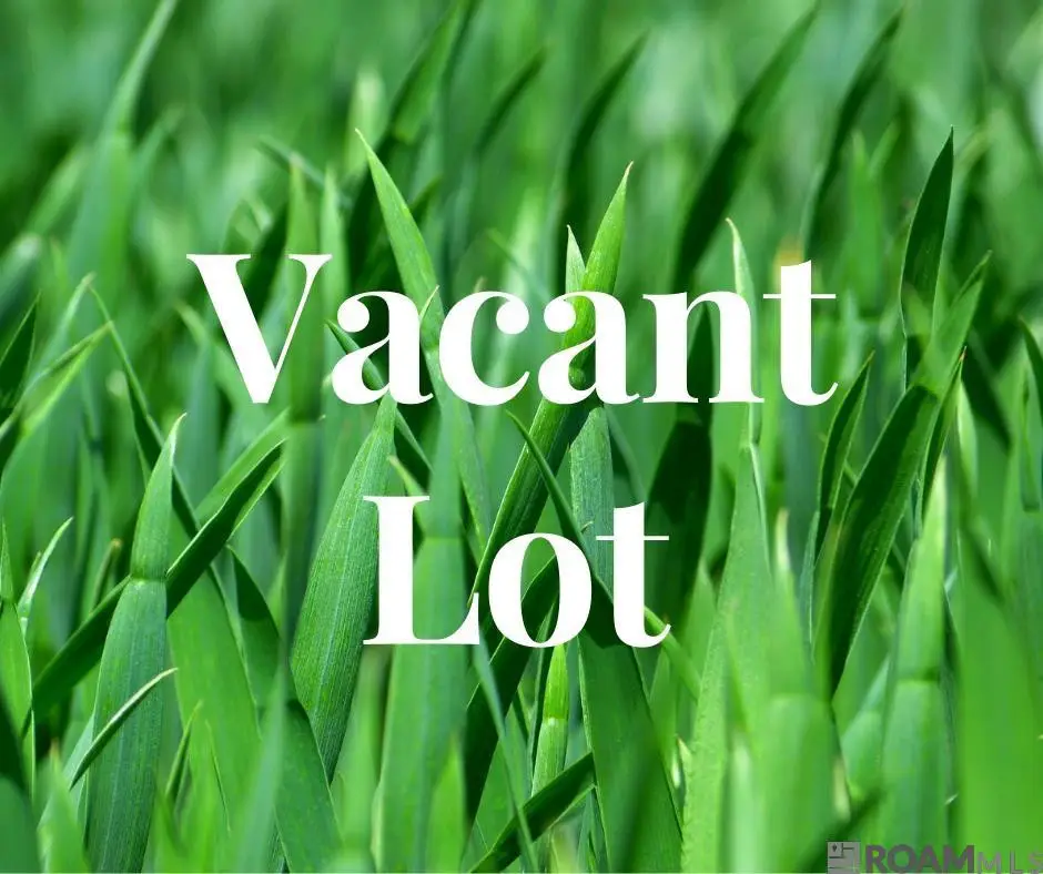 Lot C-2 Florida Blvd, Walker, LA 70785 - #1