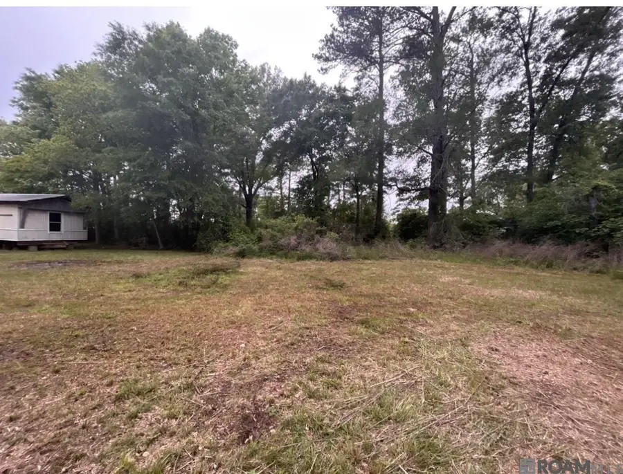 31937 William Kelly Ln, Denham Springs, LA 70726 - #3