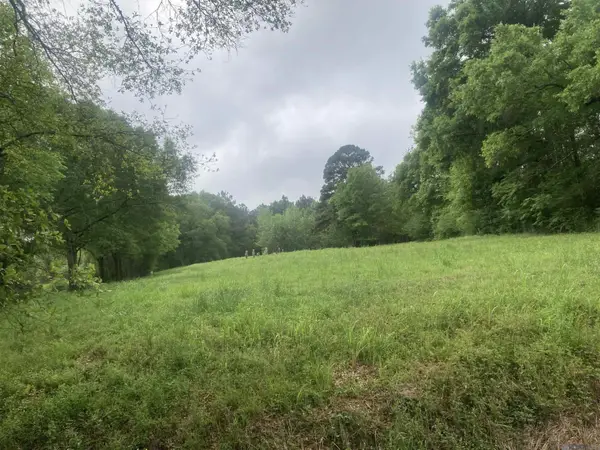 1218 Rodeo Dr, Denham Springs, LA 70726