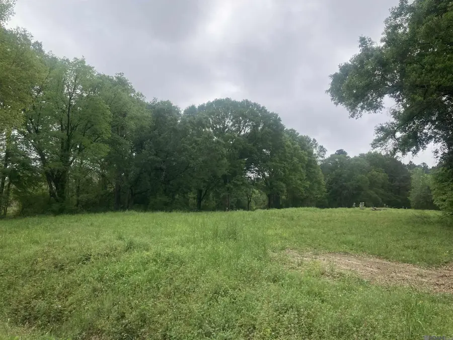1218 Rodeo Dr, Denham Springs, LA 70726 - #3