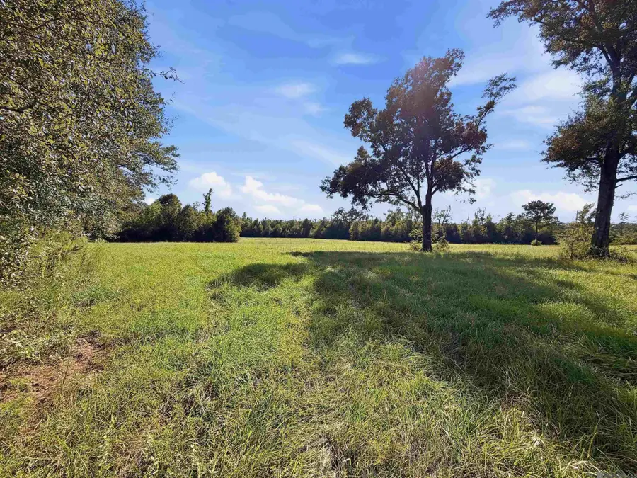 TBD N Brickyard Rd, Hammond, LA 70403 - #2