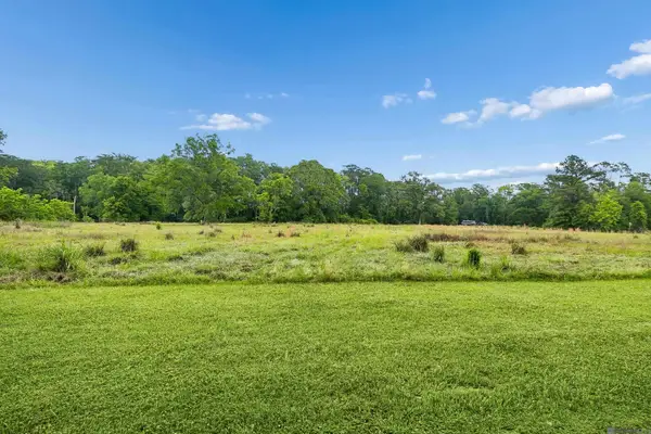 17037 La Hwy 431, Prairieville, LA 70769