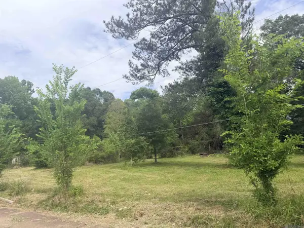 14324 Howard Thomas Road, Walker, LA 70785
