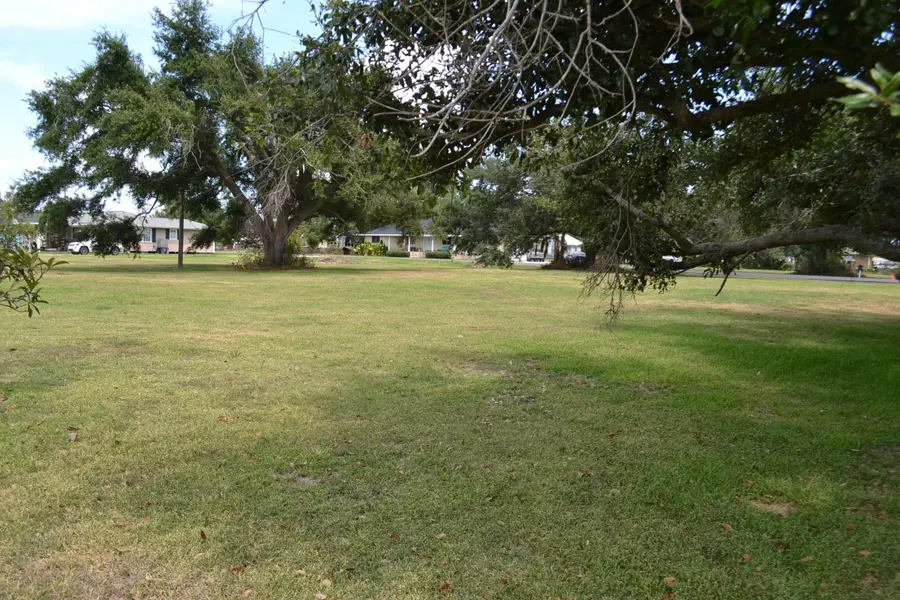 LOT 1 Oakridge Dr, Golden Meadow, LA 70357 - #2