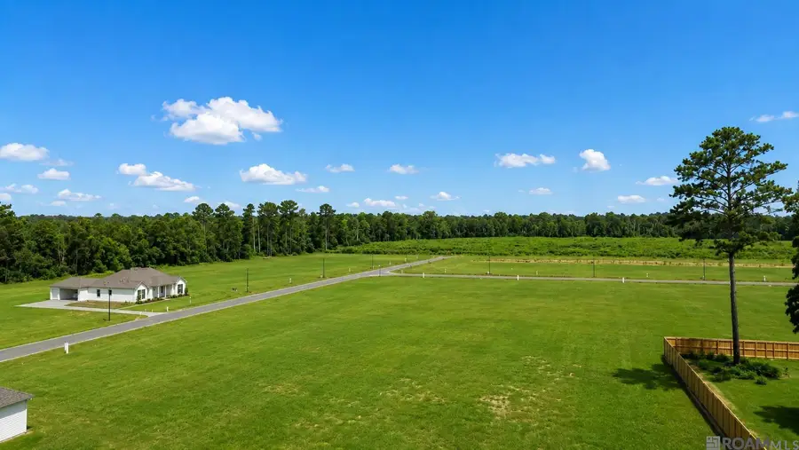 13524 Eagles Park Drive, Denham Springs, LA 70726 - #2