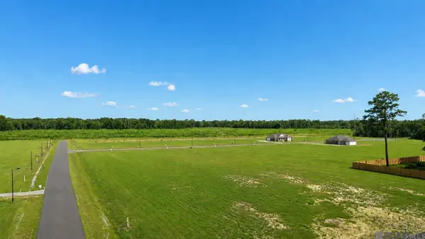 24122 Red Tail Lane, Denham Springs, LA 70726