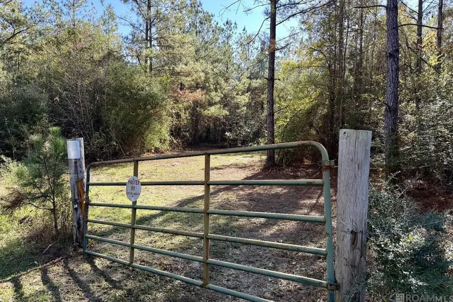 25 Bobcat Lane, Amite, LA 70442 - #2