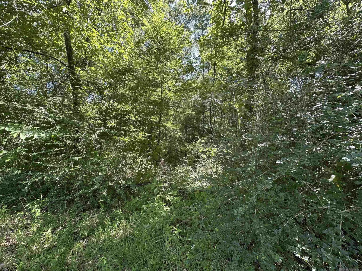 16051 Pride Port Hudson Rd, Pride, LA 70770 - #1