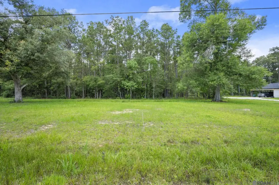 TBD Lot 80 Riverside Rd, Springfield, LA 70462 - #2