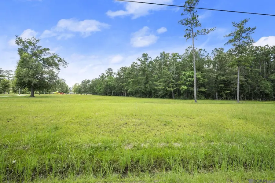 TBD Lot 83 Riverside Rd, Springfield, LA 70462 - #2