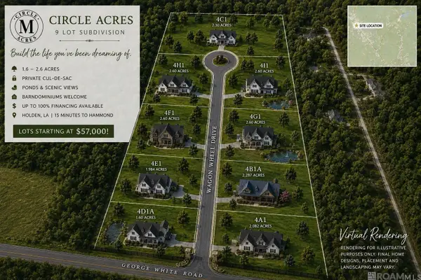 26250 Wagon Wheel Drive, Holden, LA 70744