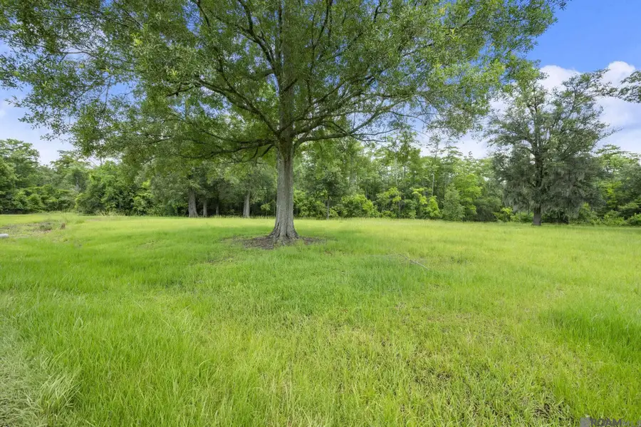 TBD HB-3-A Bretz Rd, Springfield, LA 70462 - #3