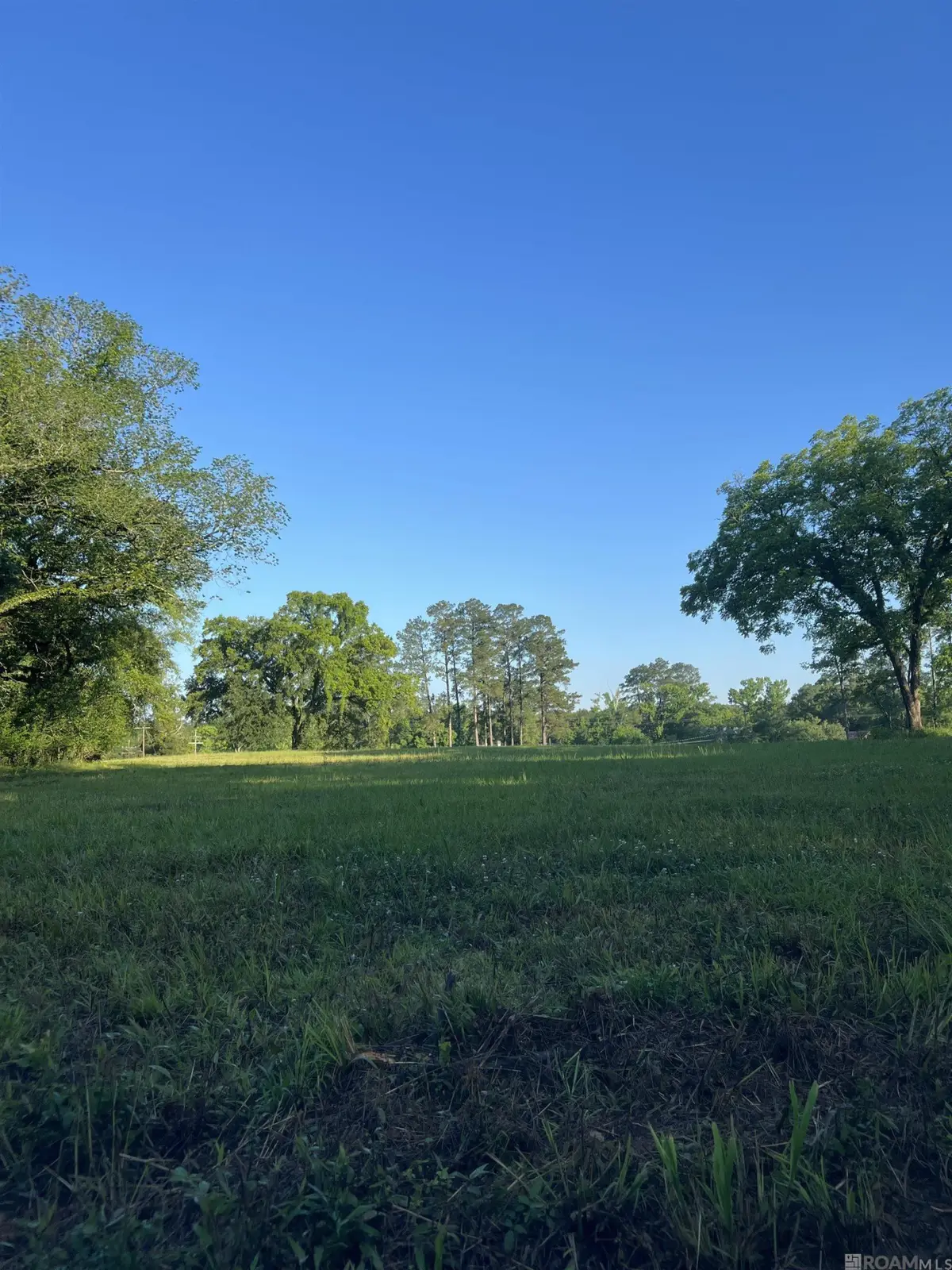 11623 Liberty St, Clinton, LA 70722 - #1