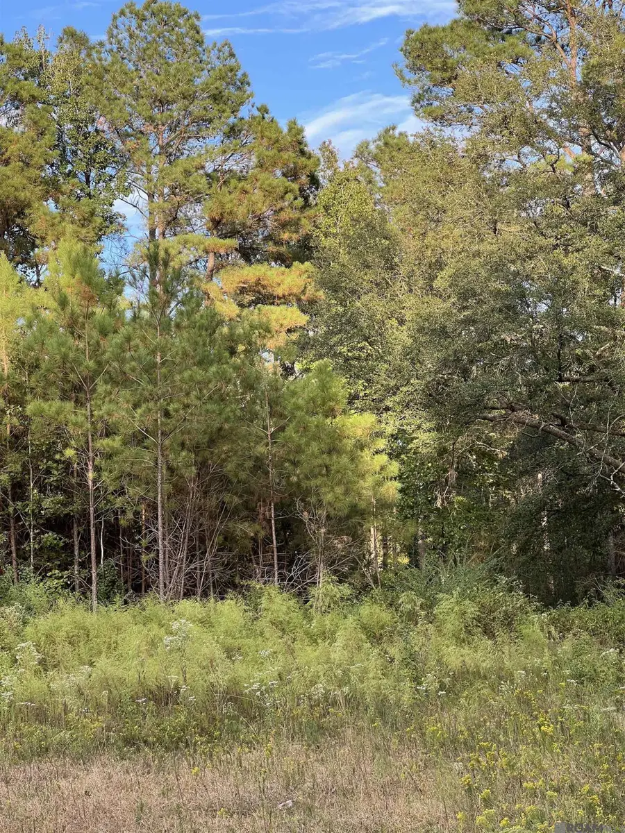 SMIT-1-B-1 La Hwy 63, Clinton, LA 70722 - #2