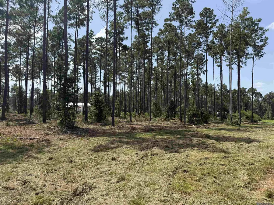 14936 Pace Rd, Clinton, LA 70722 - #2