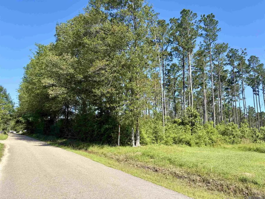 14936 Pace Rd, Clinton, LA 70722 - #3