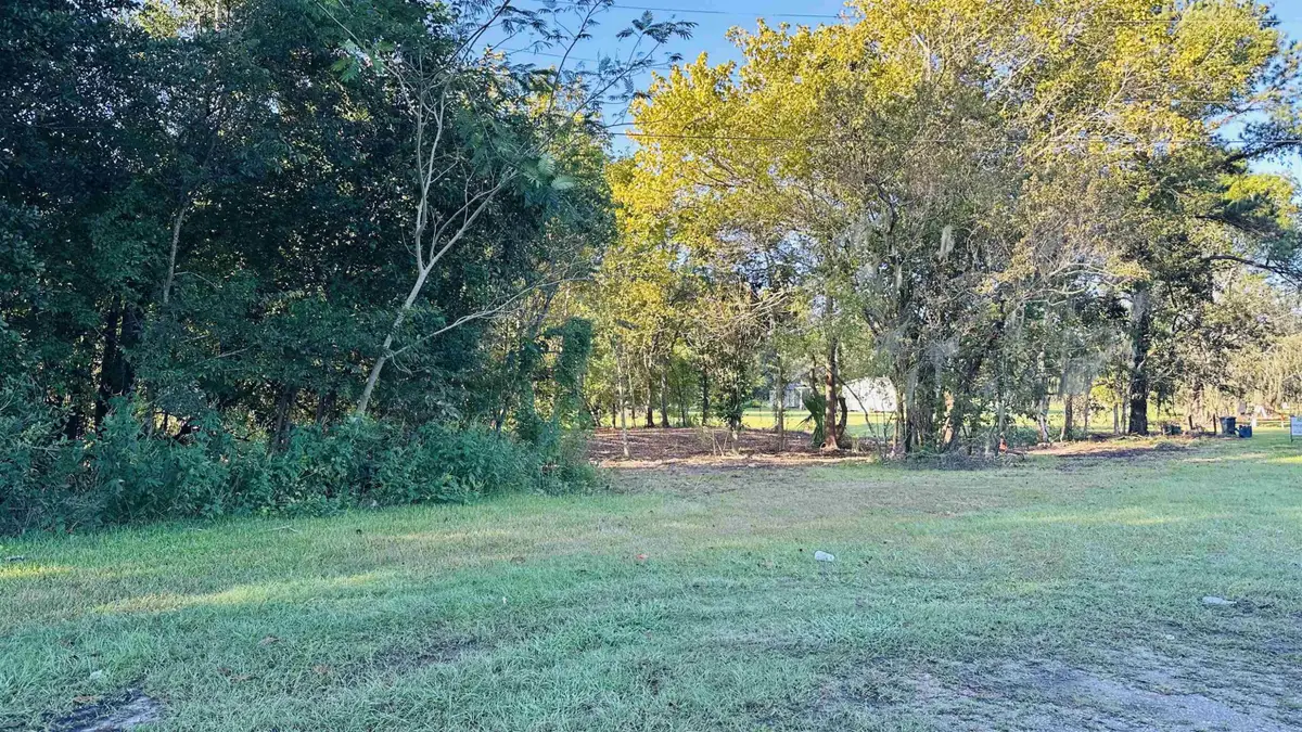 1119 Highway 662, Bayou Lourse, LA 70380 - #1