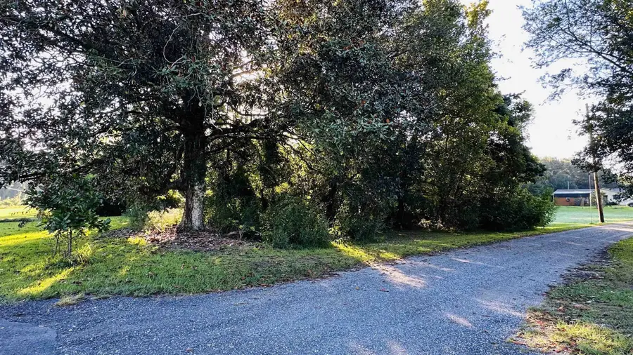 1119 Highway 662, Bayou Lourse, LA 70380 - #2