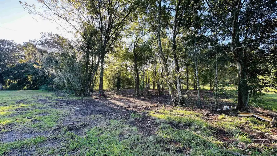 1119 Highway 662, Bayou Lourse, LA 70380 - #3