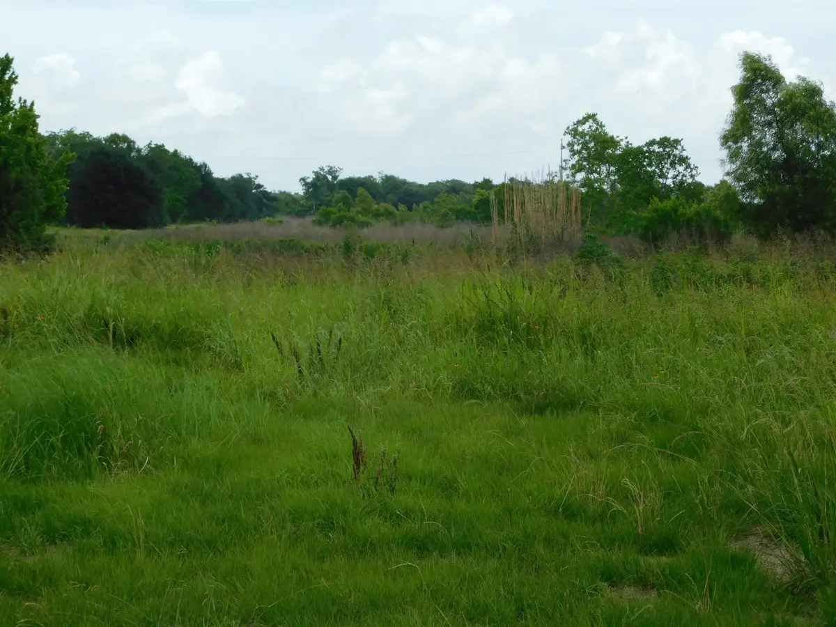 TBD Highway 308, Larose, LA 70373 - #1
