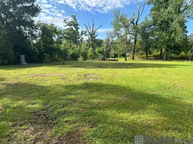 18376 Leo Causey Rd, Prairieville, LA 70769 - #1