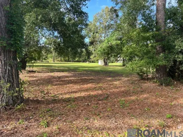 18376 Leo Causey Rd, Prairieville, LA 70769 - #2