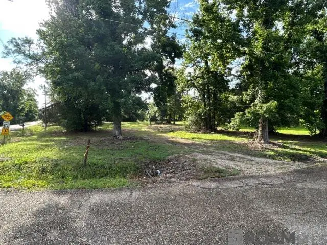 18376 Leo Causey Rd, Prairieville, LA 70769 - #3