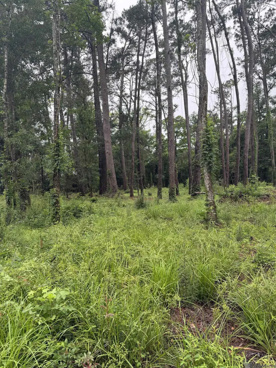 TBD La Hwy 16, Denham Springs, LA 70726 - #3