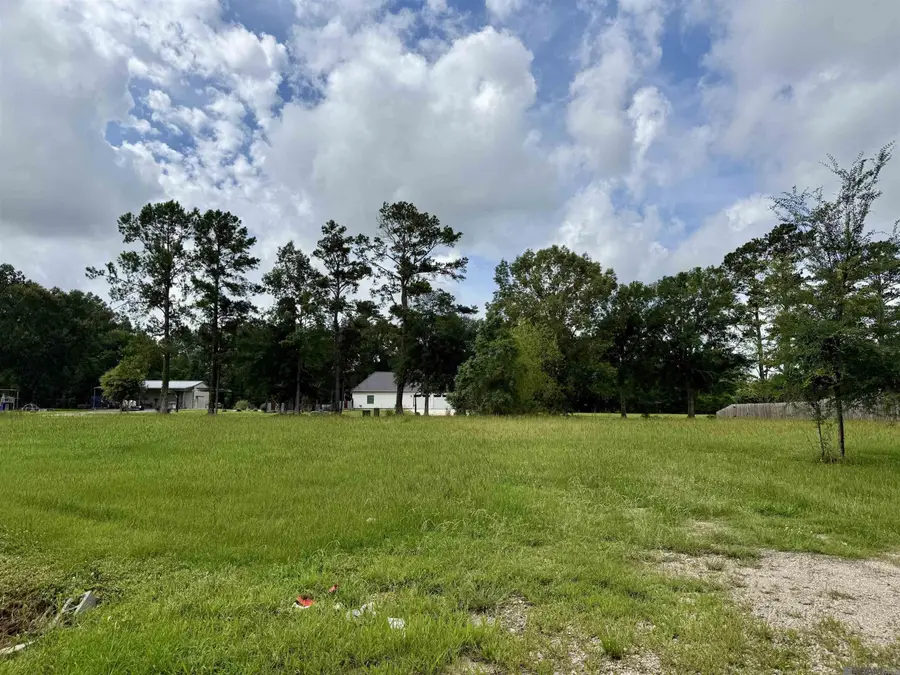 44077 Lebeau Rd, Saint Amant, LA 70774 - #2