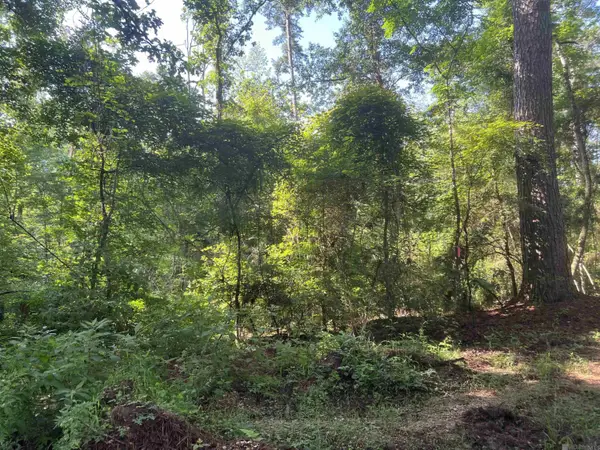Lot 1 Hepzibah Rd, Clinton, LA 70722