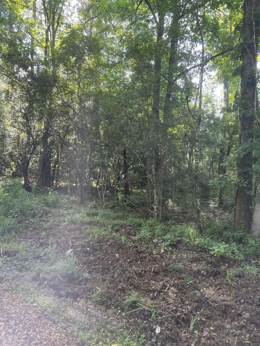 Lot 1 Hepzibah Rd, Clinton, LA 70722 - #2