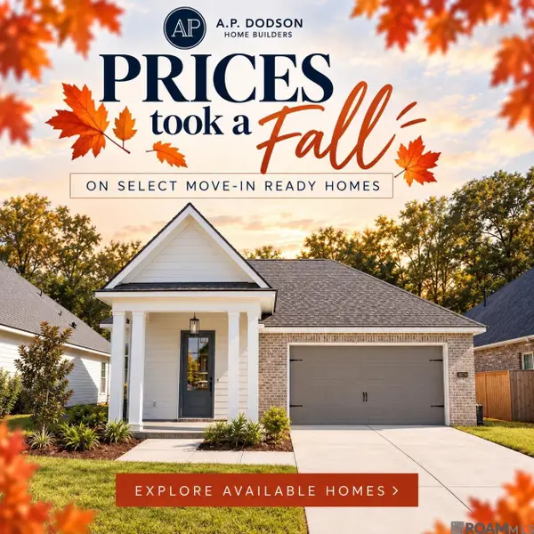 36214 Belle Parc Ave, Geismar, LA 70734