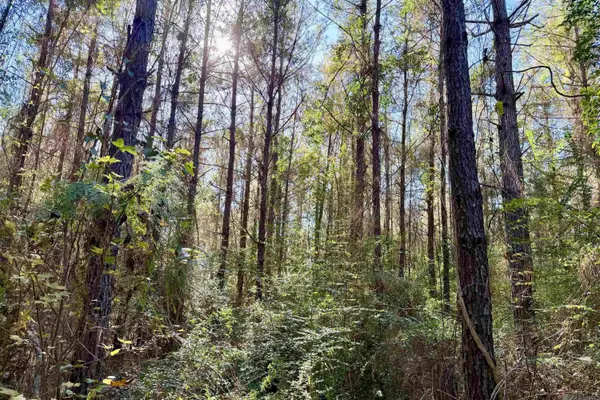 01 Bobcat Lane, Amite City, LA 70422
