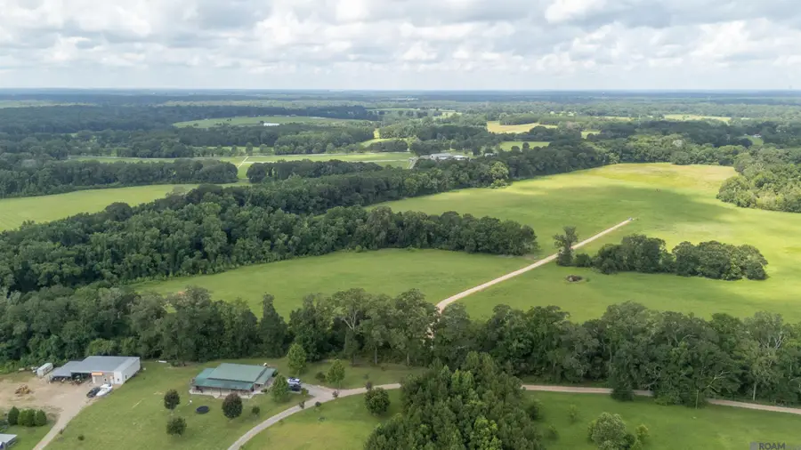 Tract C-4-D Blatt Ln, Ethel, LA 70730 - #3