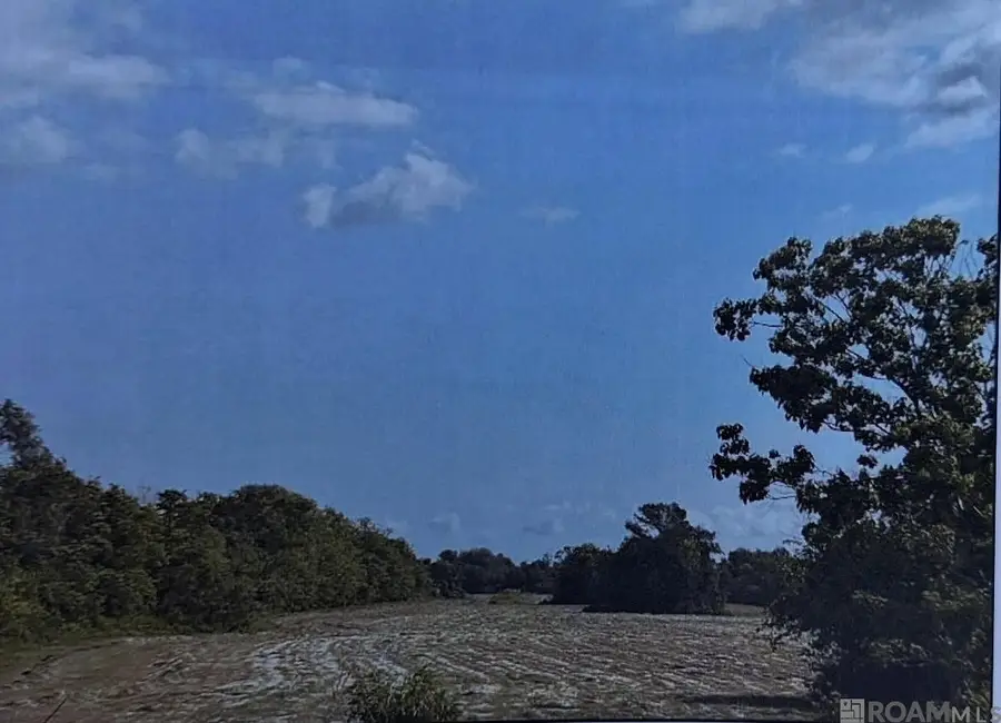 15001 La Hwy 3235, Cut Off, LA 70345 - #2