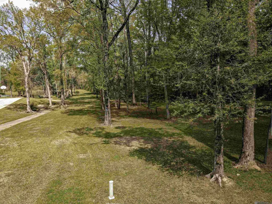 19537 Creek Round Ave, Baton Rouge, LA 70817 - #2