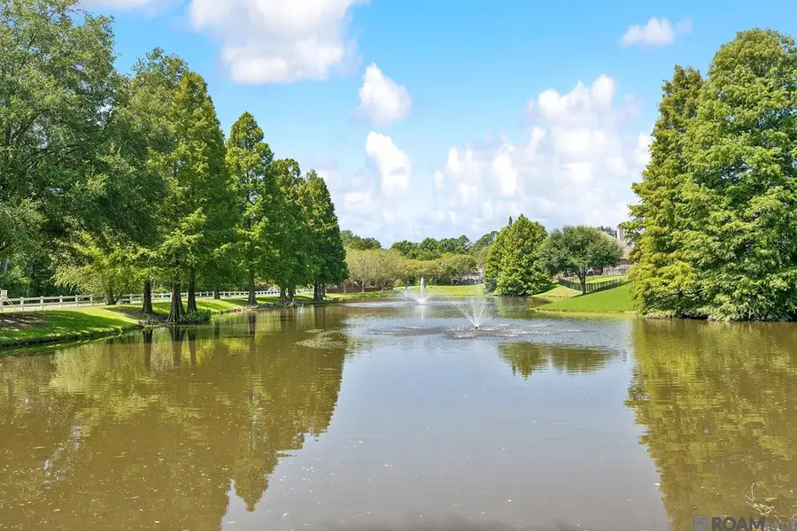 7046 Dianthus, Shenandoah, LA 70817 - #3