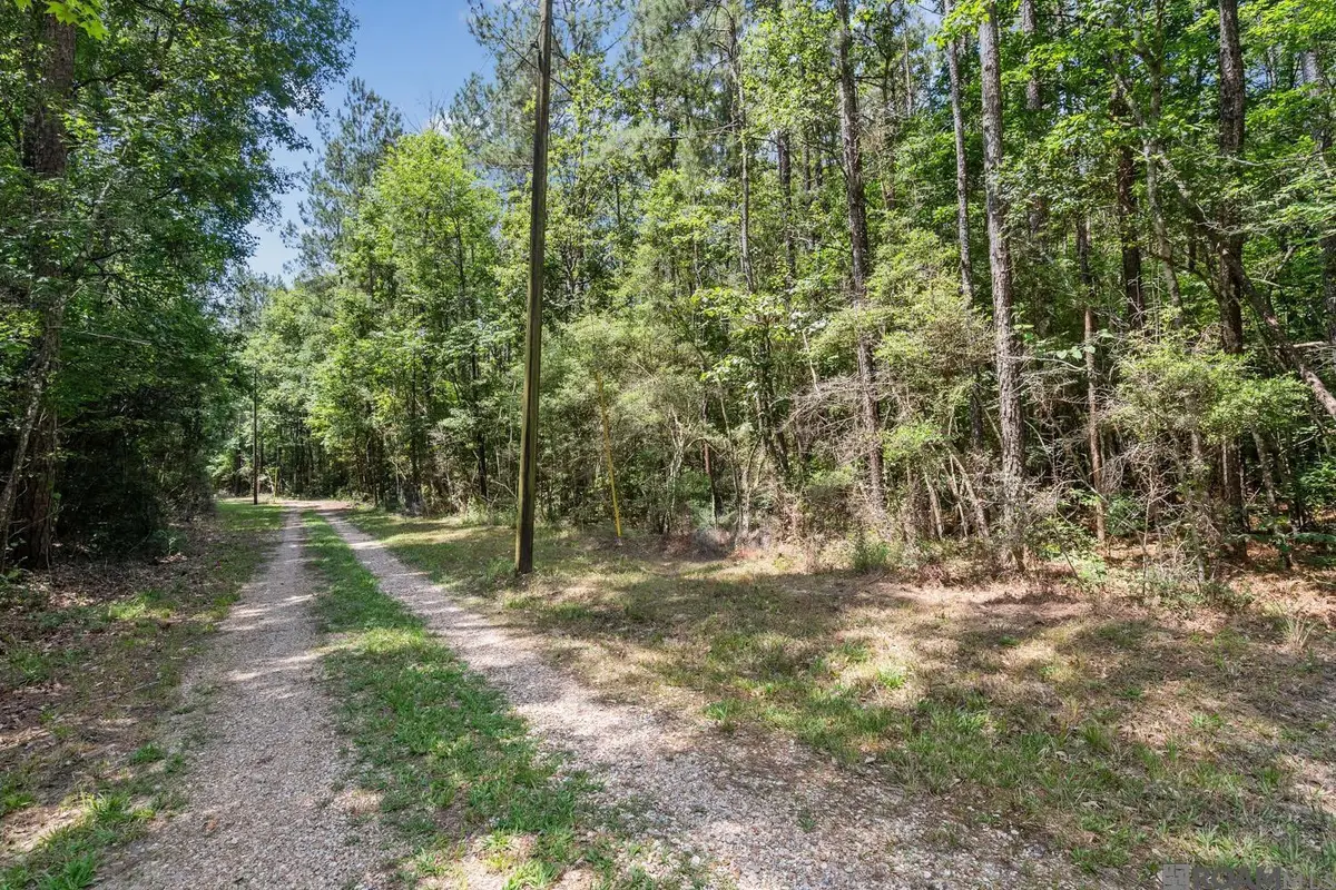 Lot 1 Pace Rd, Clinton, LA 70722 - #1