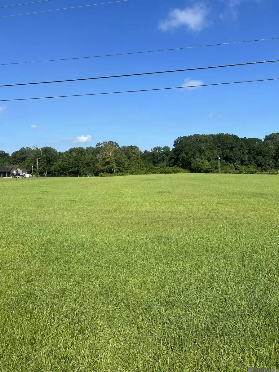 22005 Plank Rd, Zachary, LA 70791 - #2