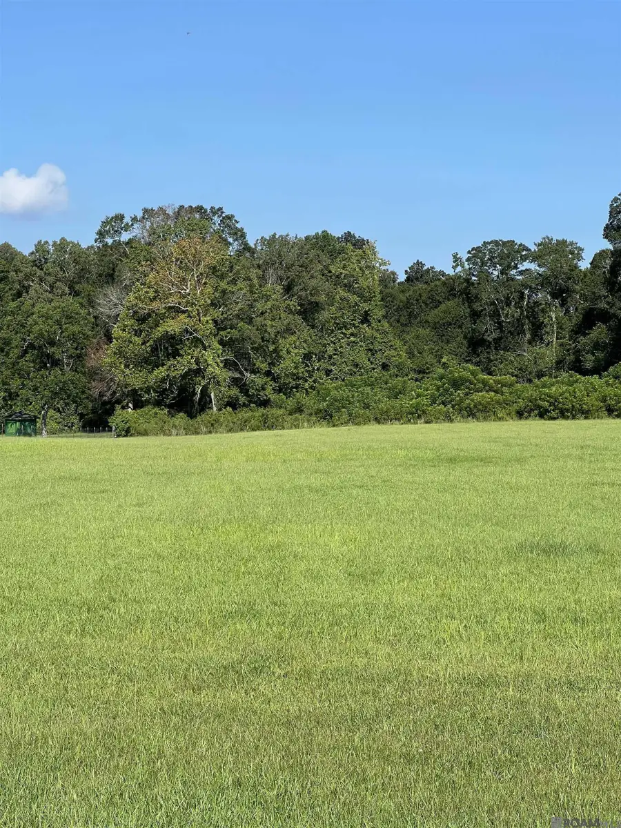 22005 Plank Rd, Zachary, LA 70791 - #3