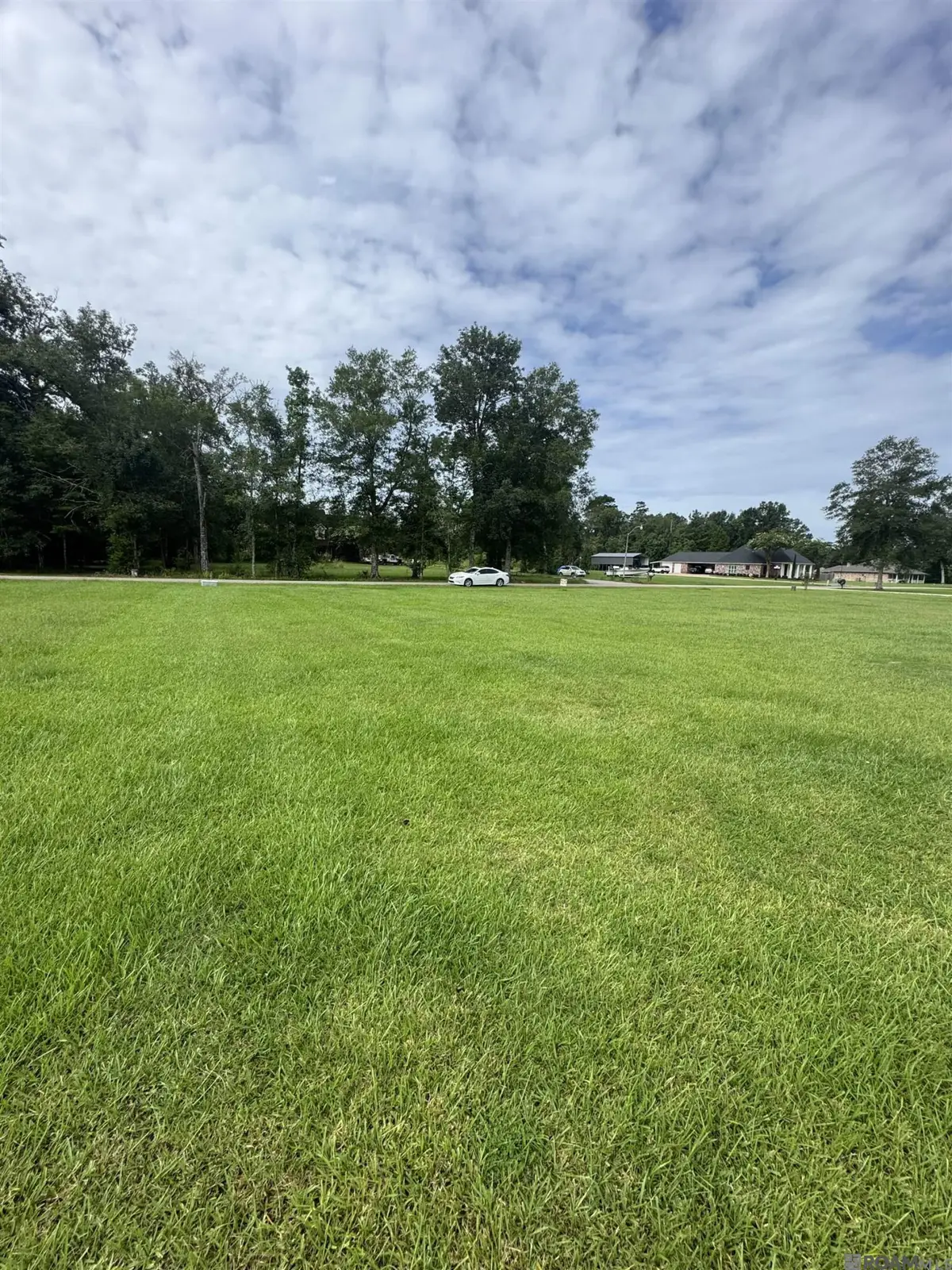 10605 Carol Lynn Rd, Denham Springs, LA 70726 - #1