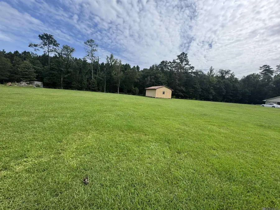 10605 Carol Lynn Rd, Denham Springs, LA 70726 - #2
